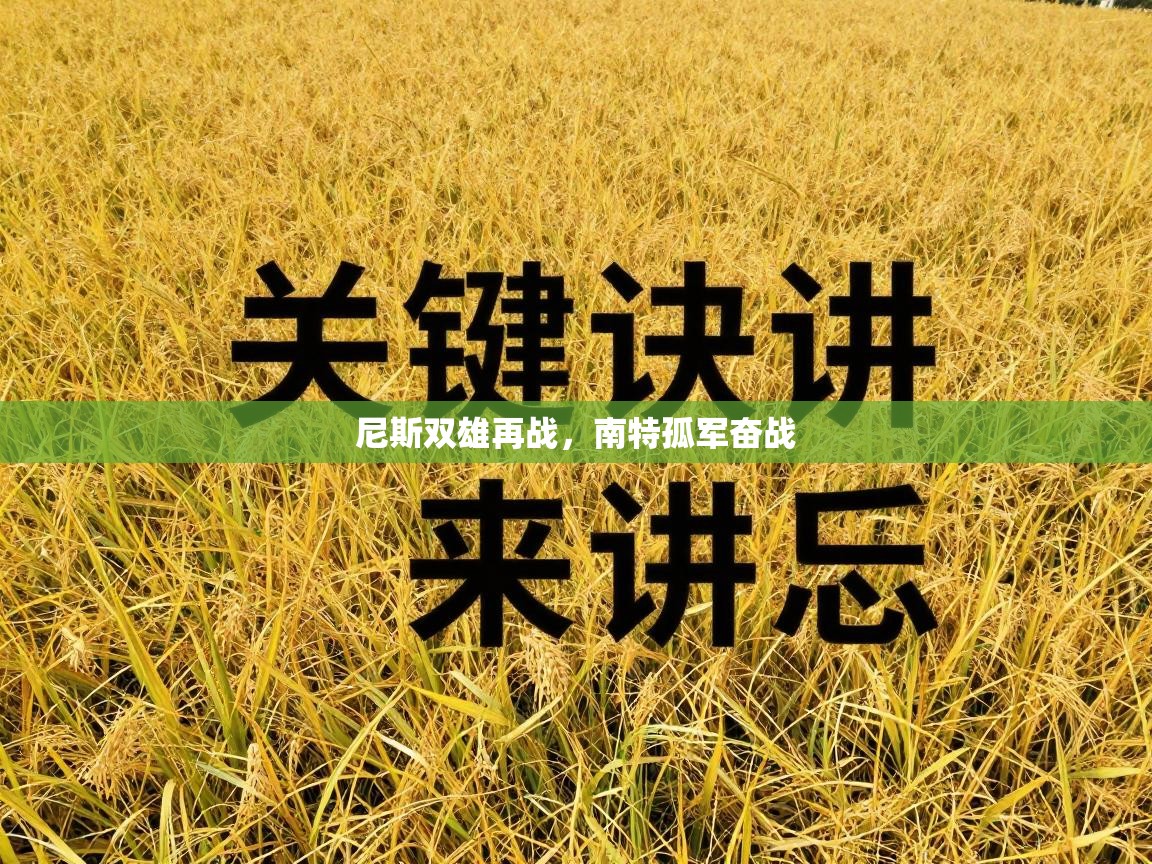 尼斯双雄再战，南特孤军奋战